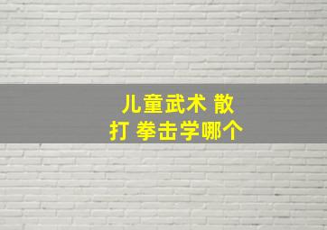 儿童武术 散打 拳击学哪个